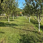 Uma * Bihać